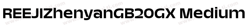 REEJIZhenyanGB20GX Medium字体转换